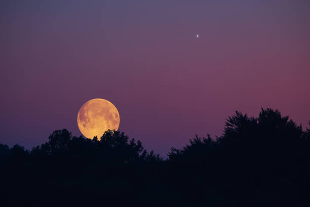 istock Full Moon, star and landscape scenery silhouettes. 1598062990