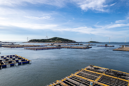 Aerial view of floating fishing rafts in a marine aquaculture farm