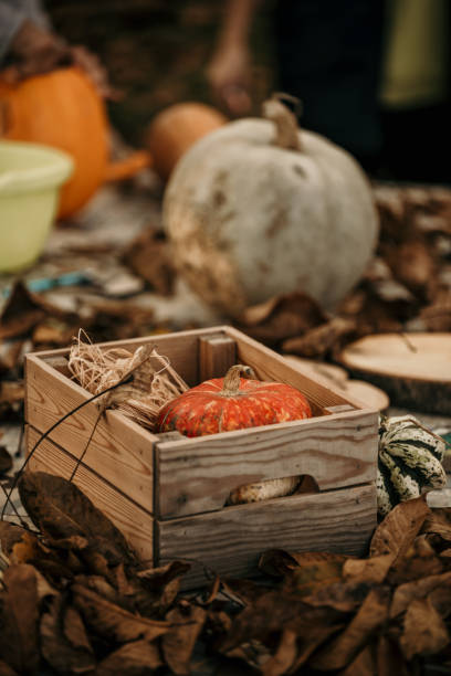 Pumpkin in a wooden crate.