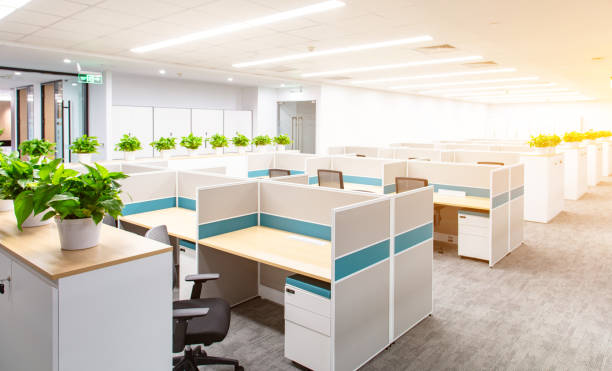 istock Empty modern office partition filled with green plants 1598107926