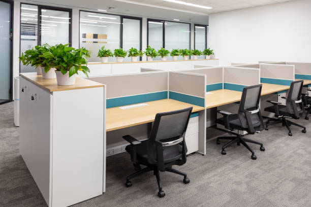 istock Empty modern office partition filled with green plants 1598109494