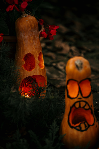 Halloween scene with Jack O’ Lanterns in a mystical forest