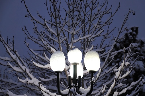 Snow covered lamp. Samarkand, Uzbekistan