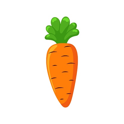 Funny cartoon carrot. Cute vegetable. Vector food illustration isolated on white background.