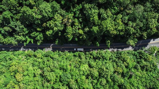 Topview green forest on the world. Ecosystem ecology healthy environment. Natural background.