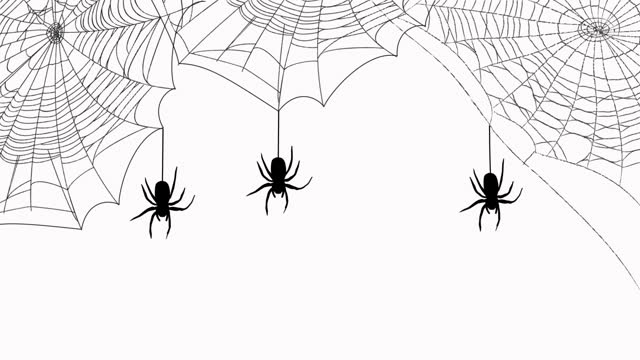 Black spiders hanging from webs against white background
