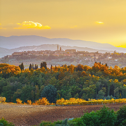 In the heart of autumn's embrace, Tuscany's landscape unfolds in a breathtaking display. Golden and amber hues paint a rich tapestry across rolling hills, while a small forest of diverse trees stands as a vibrant testament to the season's transformation. Leaves of green,  crimson, ochre, and russet create a kaleidoscope of colors, adding a touch of whimsy to the scene.\n\nBefore it stretches a plowed field, a patchwork of earthy tones awaiting the promise of new growth. Amidst this picturesque setting, the hilltop town of Pienza graces the distant horizon, a charming reminder of human history against nature's grandeur.\n\nThis captivating vista captures the essence of Tuscany in fall, where the beauty of changing seasons is woven into every detail, inviting you to wander amidst the rustic splendor and embrace the tranquility of this enchanting landscape.