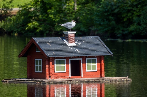 A small bird is perched atop a miniature house located in a body of water.