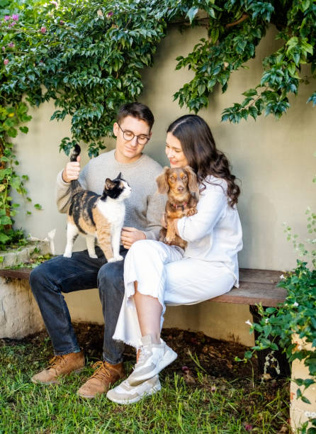 istock Young couple sitting in backyard with their pets 1598193052