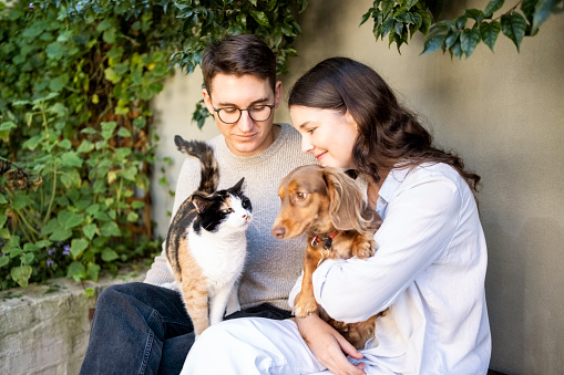 Young man and woman sitting in backyard holding a cat and a dog