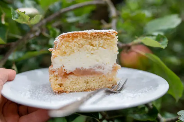 Fresh baked apple cream cake with whipped cream and junkie apple sauce. Served ready to eat on a white plate with fork outdoors in front of a apple tree. Closeup, front view