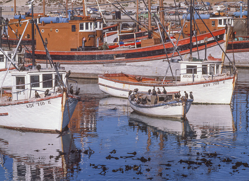 Lambert's Bay, South Africa - April 22, 2023: Fishing boats and Cape cormorants in the harbour at Lambert's Bay, a small fishing town in the Western Cape province of South Africa.