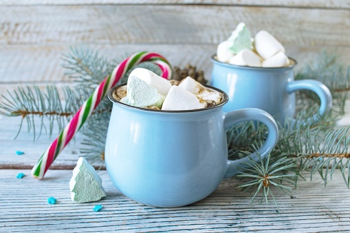 Cup of hot cocoa with marshmallows and fir branches on a wooden background