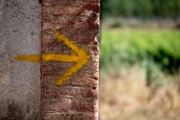 istock view of several wineries on the Do costers del Segre. 1598266641