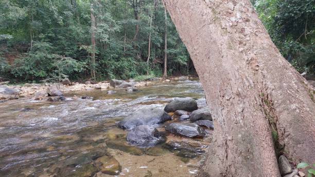 istock The most beautiful waterfalls 1598276422