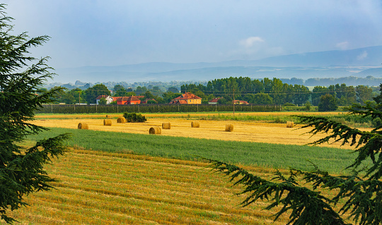 Serbian Tapestry: Captivating Views of Rural Countryside and Bountiful Fields