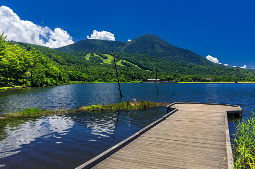 This is a summer scenery of Lake Megami in Nagano prefecture, Japan.\nThis lake is located in Tateshina highland, it is well known as a tourist destination in this region