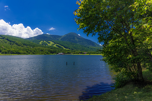 This is a summer scenery of Lake Megami in Nagano prefecture, Japan.\nThis lake is located in Tateshina highland, it is well known as a tourist destination in this region