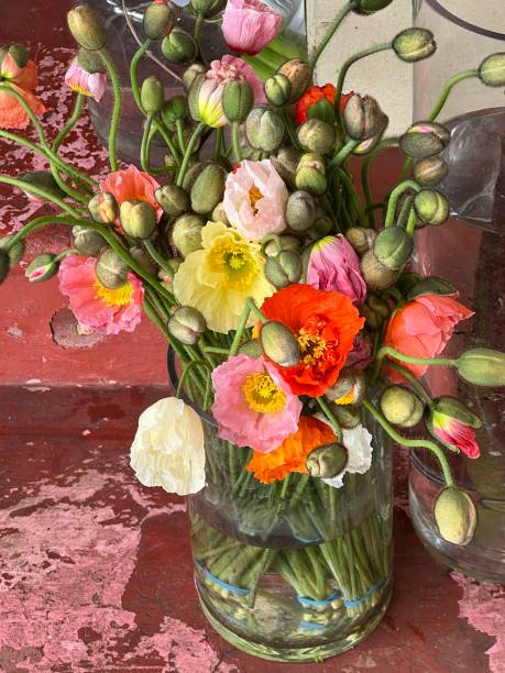 Poppies in a Vase