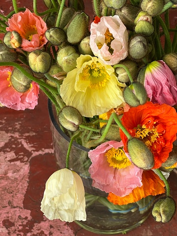 Vertical closeup photo of a bunch of colourful poppies and buds for sale on a weathered dark pink painted bench in a Florist shop.