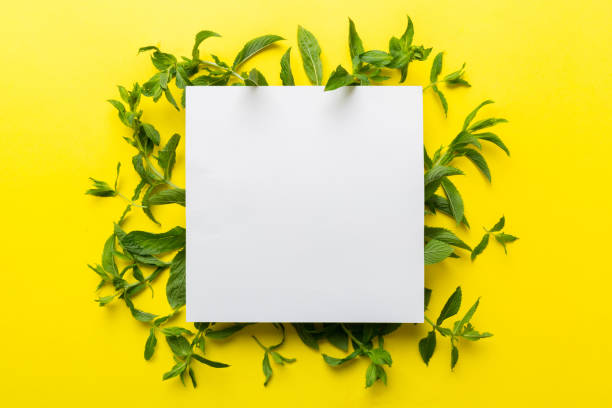 istock Wreath frame made of empty paper blank with space for text and mint leaves on colored background. . Mint Pattern. Flat lay. Top view 1598308949