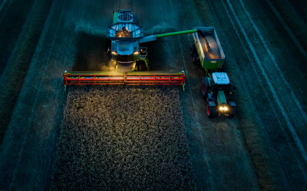 istock View of combine harvester are harvesting wheat and loading off corn grains into tractor trailer at late evening. Working combine harvester at night with lights illuminating the field. 1598310040