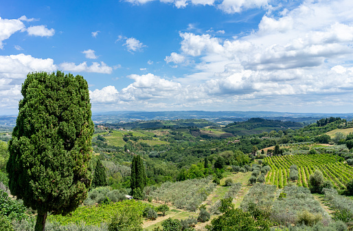 landscape in the tuscany ,italy