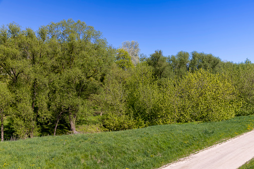 unpaved road in rural areas in spring, unpaved road in spring, unpaved road in rural areas