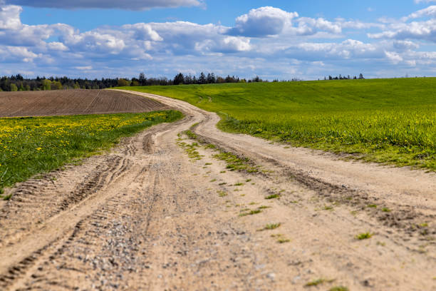 istock unpaved road in rural areas in spring, unpaved road 1598353004