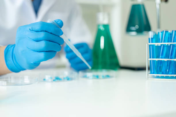 istock Medical Research Laboratory. Male scientist analyzing advanced science data for medical biotechnology development of microbiology laboratory researchers wearing gloves close-up image 1598362615