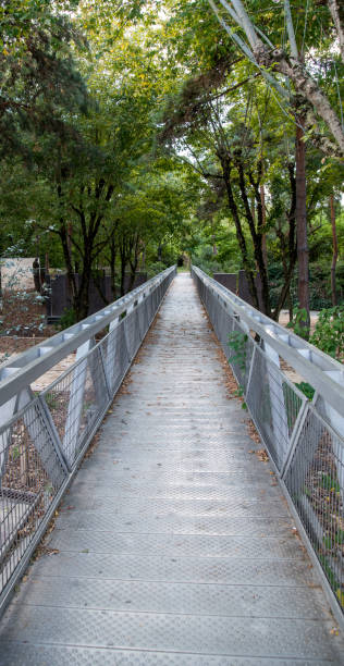 istock Narrow path in La Villette Paris 1598383525