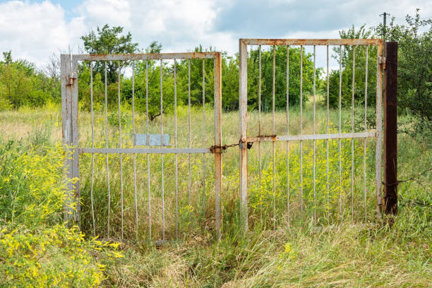 Old iron rusty gate closed in the countryside with grass and trees on a summer day