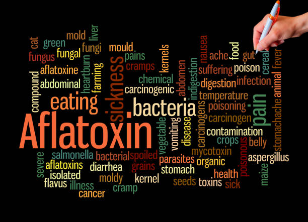istock Word Cloud with AFLATOXIN concept, isolated on a black background 1598397679