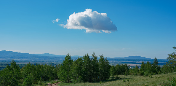 one cloud in the sky above the trees against the backdrop of the Carpathians