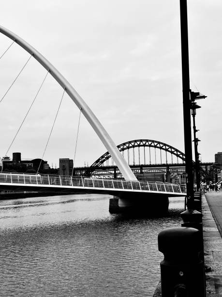 istock Bridges over the River Tyne 1598447986