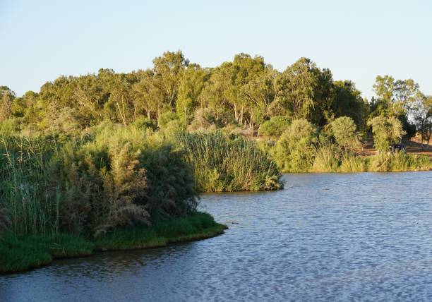istock Reservoir Kfar Baruch .Israel 1598457450
