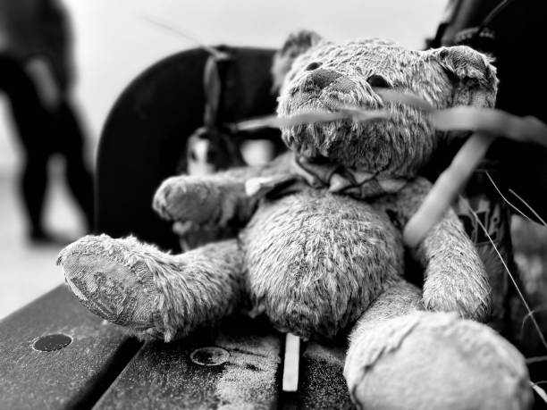 Free picture: teddy bear toy, black and white, porcelain, vintage ...