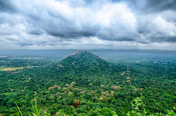 istock View from Sigiriya, called Lion Rock. Sri Lanka. 1598478497
