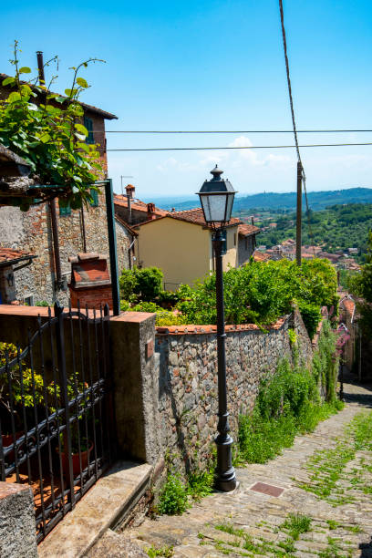 istock Pedestrian Alley in Collodi 1598483596