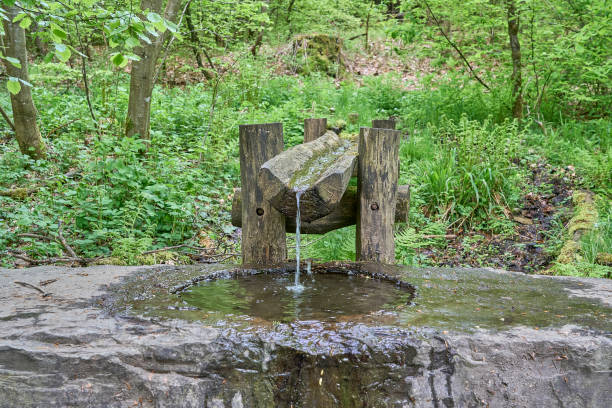 istock Siegquelle, the source of river Sieg in the Rothaargebierge. 1598484703