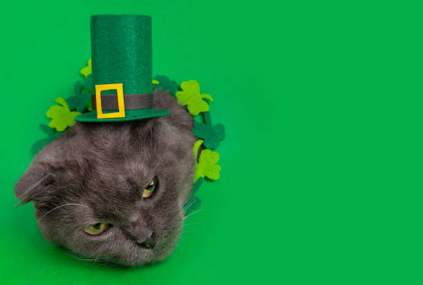 istock Cat in a green hat on a green background with copy space. 1598521877