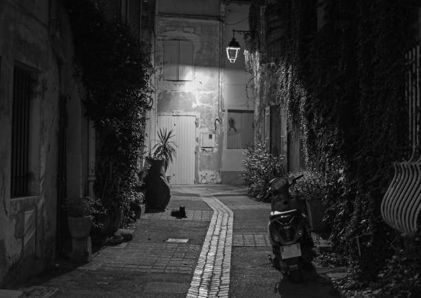 Narrow street at night, stray cat and bike