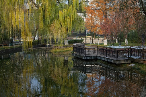 Beautiful coloured trees at north city moat in Beijing.