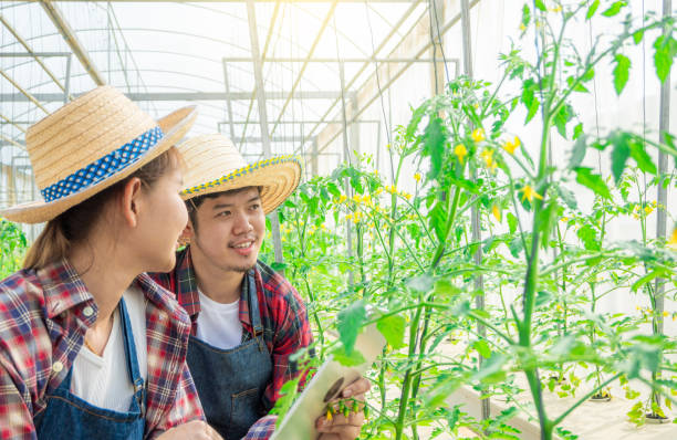 istock modern farming. smart farm 1598563563