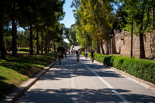 Route between the trees in  the Turia park with running and cycling people durign the sunny day