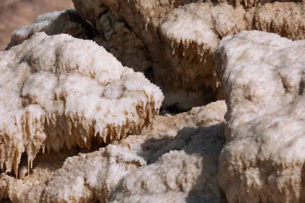 Photo of Natural salt stalactites crystals at the Dead Sea