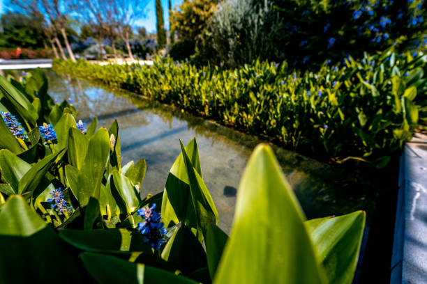 Spring time and early summer in the Park Central in Valencia