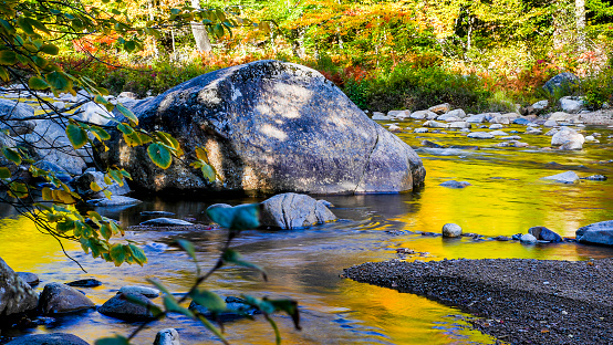 Golden Swift River with morning autumn reflections in New Hampshire