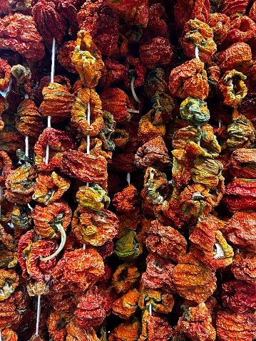 dried bell pepper
