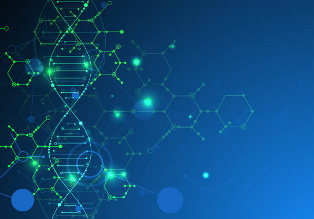 Science template, wallpaper or banner with a DNA molecules. Science template, wallpaper or banner with a DNA molecules. Vector illustration. genetic makeup stock illustrations